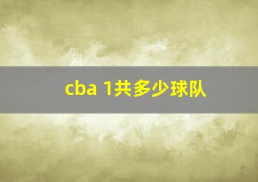 cba 1共多少球队